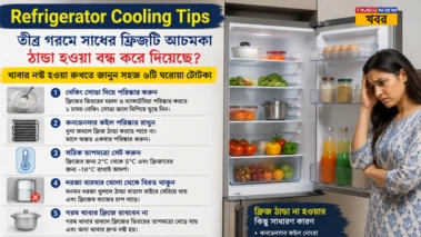 Refrigerator Cooling Tips: তীব্র গরমে সাধের ফ্রিজটি আচমকা ঠান্ডা হওয়া বন্ধ করে দিয়েছে? খাবার নষ্ট হওয়া রুখতে জানুন সহজ ৬টি ঘরোয়া টোটকা