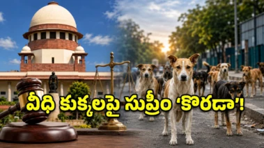 ప్రజల ప్రాణాలతో చెలగాటమాడితే ఊరుకోం.. వీధి కుక్కల సమస్యపై సుప్రీంకోర్టు వార్నింగ్