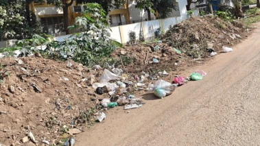 Silt, stench, apathy: 'Clean City' myth unravels in Mysuru