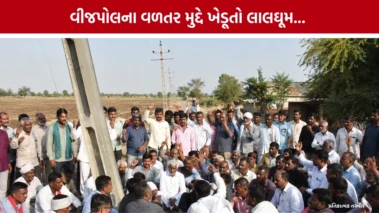 હળવદના સાપકડા ગામમાં વીજપોલના વળતર મુદ્દે ખેડૂતોનો વિરોધ