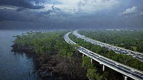 Mumbai's mangroves are under threat as the proposed Versova-Bhayander Coastal Road project moves forward, potentially impacting over 45,000 mangroves.