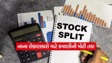 IB ઈન્ફોટેકનો મોટો ધડાકો: 1 શેરના બદલામાં મળશે 10 શેર