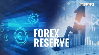 India Forex Reserves: विदेशी मुद्रा भंडार में आई बड़ी गिरावट! जानिए अब कितना बचा है भारत का फॉरेक्स रिजर्व