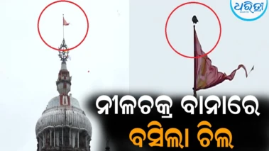 ନୀଳଚକ୍ର ବାନାରେ ବସିଲା ଚିଲ: ଅଶୁଭ ସଂକେତ, ଘଟିପାରେ...