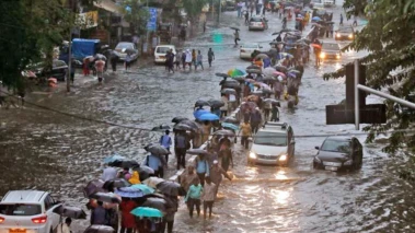 Mumbai Pre-Monsoon Preparedness: BMC Targets Dengue, Malaria Hotspots With Extensive Citywide Campaign