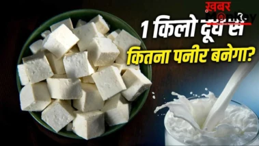 1 किलो दूध से कितना पनीर बन जाता है? जानें बाजार से महंगा पड़ेगा या सस्ता