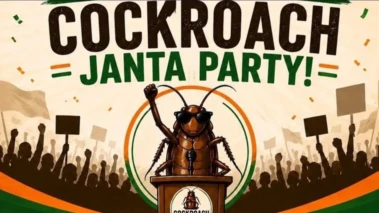 సోషల్ మీడియాను షేక్ చేస్తున్న 'కాక్రోచ్ జనతా పార్టీ'.. మొదలైన జెన్‌ Z తిరుగుబాటు