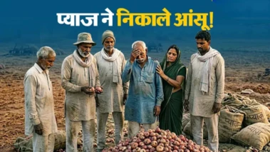प्याज के गिरते दामों ने तोड़ी महाराष्ट्र के किसानों की कमर, 1,262 किलो बेचने पर मिला 'माइनस 1 रुपया', MSP और मुआवजे की उठी मांग