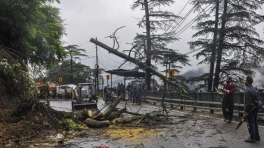 2025 landslide in Shimla Act of God, NHAI tells NGT, rejects compensation claim for damage to agricultural land