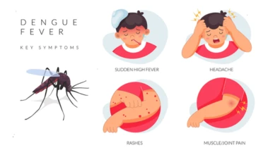 National Dengue Day 2026: Dengue Warning Signs in Children Parents Should Never Ignore