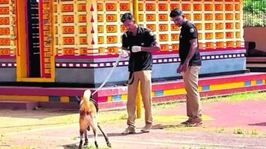 കോട്ടപ്പുറം വൈകുണ്ഠ ക്ഷേത്രത്തില്‍ കവര്‍ച്ച ഏഴ് ഭണ്ഡാരങ്ങള്‍ കുത്തിത്തുറന്നു; മുപ്പതിനായിരം രൂപ കവര്‍ന്നു