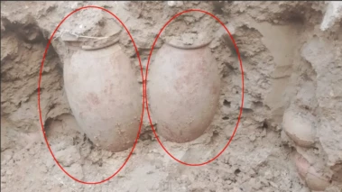 టైగర్ రిజర్వ్‌లో 'కనిపించిన' జంట కుండల్లో ఏముంది? బంగారం, వజ్రాలా? ఆదిమ మానవుల అస్థిపంజరాలా?