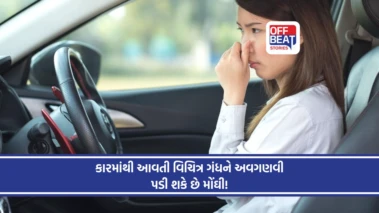 કારમાંથી આવી રહી છે આ ગંધ?: આ સ્મેલને અવગણવી પડી શકે ભારે, જાણો બચવાના ઉપાયો