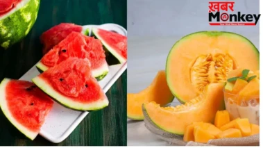 Summer Fruits Side Effects: तरबूज-खरबूजे के साथ गलती से न खाएं ये चीजें, हो सकती है भयंकर तकलीफ़