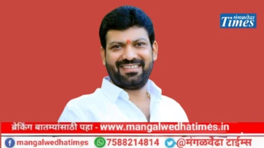 सोलापूरच्या राजकीय मैदानात खळबळ! शिवसेना नेते अनिल सावंत विधानपरिषद निवडणुकीत उतरण्याच्या तयारीत; महायुतीत थरार वाढला