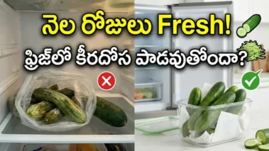 Cucumber: ఫ్రిజ్ లో పెట్టినా కీరదోస పాడవుతోందా? నెల రోజులు తాజాగా ఉండాలంటే ఇలా చేయండి..