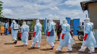 India-Africa summit in Delhi postponed due to Ebola outbreak; advisory issued for arriving passengers