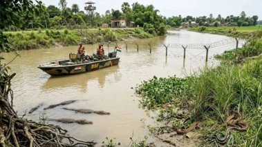 বাংলাদেশ সীমান্তে অনুপ্রবেশ ও অপরাধ রুখতে নদীতে সাপ ও কুমির ছাড়ার পরিকল্পনা বিএসএফের
