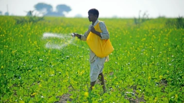 Maharashtra CM Fadnavis shares big update on farmer loan waivers, relaxes CIBIL restrictions