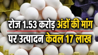 भीषण गर्मी में भी अंडा हुआ महंगा, कीमत में भारी बढ़ोतरी.. अब 6.67 रुपये पीस रेट