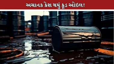 ટ્રમ્પે એવું શું કહ્યું? ક્રૂડ ઓઇલના ભાવમાં થયો મોટો ઘટાડો! બ્રેન્ટ $100થી નીચે, શું પેટ્રોલ-ડીઝલ થશે સસ્તા?