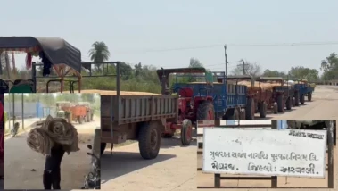 મેઘરજમાં ઘઉં ખરીદી ગોકળગતિએ, કમોસમી વરસાદની આગાહી વચ્ચે ખેડૂતો ચિંતામાં