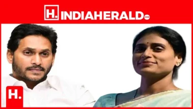 వైఎస్సార్ పేరు చెప్పి ప్యాలెస్ లు కట్టారు.. షర్మిల షాకింగ్ కామెంట్స్ వైరల్!