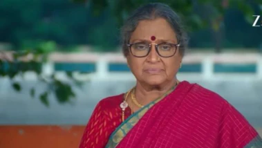 Karthigai Deepam:  திடீர் என்ட்ரி கொடுத்த ராஜா சேதுபதி.. மாப்பிள்ளைக்கு மாமியாரின் புது சேலஞ்ச்!