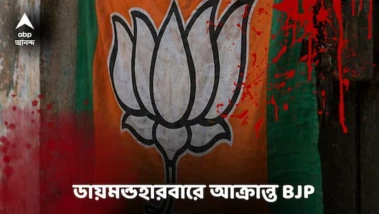 Diamond Harbour ডায়মন্ড হারবারে 'কারেন্ট অফ করে বিজেপির উপর হামলা, রক্তাক্ত মহিলারা', ভয়ঙ্কর ঘটনা