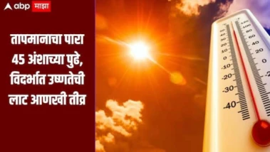 तापमानाचा पारा 46 अंशाच्या पुढे, विदर्भात उष्णतेची लाट आणखी तीव्र, दुपारी घराबाहेर न पडण्याचा इशारा