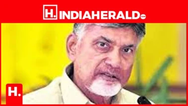గొడ్డలి పార్టీది ఫేక్‌ ప్రచారం.. సీఎం చంద్రబాబు నాయుడు కామెంట్స్ వైరల్!