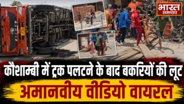 कौशाम्बी में पलटा बकरियों से भरा ट्रक, मदद की बजाय मरी और घायल बकरियों को लूटने की मची होड़