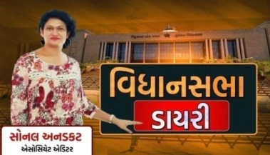 વિધાનસભા ડાયરી