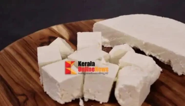 സസ്യാഹാരികളുടെ പ്രോട്ടീൻ കലവറ; പനീര്‍ കഴിച്ചാല്‍ ശരീരത്തിന് സംഭവിക്കുന്നത്