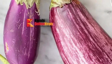 വിളര്‍ച്ച കൊണ്ട് കണ്ണ് ഇരുളുകയാണോ? ഭക്ഷണത്തില്‍ വഴുതനങ്ങ ഉള്‍പ്പെടുത്തേണ്ടതിന്റെ കാരണങ്ങള്‍ ഇതാണ്