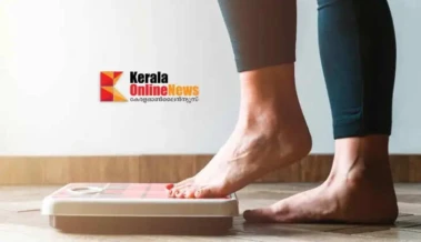 തടി കുറയ്ക്കാൻ ആഗ്രഹമുണ്ടോ? എങ്കില്‍ ഭക്ഷണത്തില്‍ ഈ മത്സ്യങ്ങള്‍ നിര്‍ബന്ധമായും ഉള്‍പ്പെടുത്തൂ