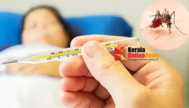 ഡെങ്കിപ്പനിയെ പ്രതിരോധിക്കാൻ ശരീരത്തിന് കരുത്തേകൂ; പ്രതിരോധശേഷി കൂട്ടാൻ ഈ ഭക്ഷണം കഴിക്കാം