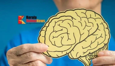 ഓര്‍മ്മശക്തിയും ബുദ്ധിശക്തിയും ഇരട്ടിയാക്കാം; തലച്ചോറിന്റെ ആരോഗ്യം നിലനിര്‍ത്താൻ ഈ പച്ചക്കറി കഴിക്കൂ