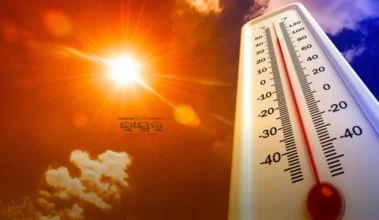 Odisha: Heatwave To Continue Till May 28, IMD Issues Warnings For Several Districts
