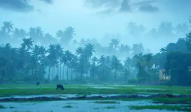 ಮಳೆ ಕೊರತೆ: ಮುಂಗಾರು ಬಗ್ಗೆ ಹವಾಮಾನ ಇಲಾಖೆ ಮಹತ್ವದ ಮಾಹಿತಿ