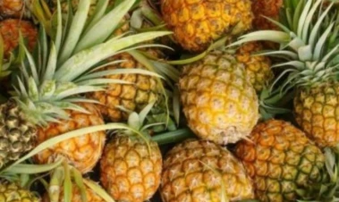 Meghalaya's GI-tagged pineapples among PM Modi's gifts to UAE President