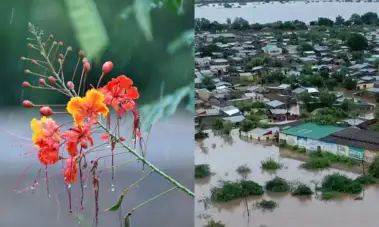Anita Anand | The Romance And The Tragedy Of The Monsoon In India