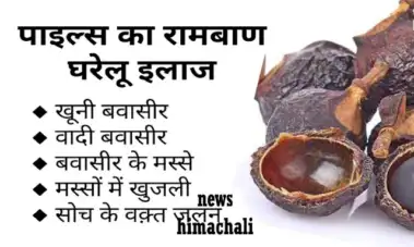 बवासीर है? अब नहीं रहेगी' जानिए बवासीर का पक्का और असरदार घरेलू इलाज'