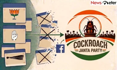 'Cockroach Janata Party' trend sparks revival of old Facebook pages and dormant online groups