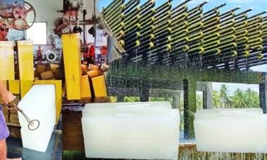 Ice Cube Business Idea: సమ్మర్‌ స్పెషల్‌ బిజినెస్‌... 2 లక్షల పెట్టుబడితో నెలకు 50 వేల సంపాదన