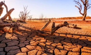 Super El Nino: ముంచుకొస్తున్న కరవు.. 2027 వరకు గడ్డుకాలమే.. నిపుణుల హెచ్చరిక!