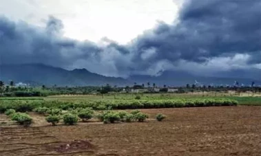 నైరుతి మరింత ఆలస్యం
