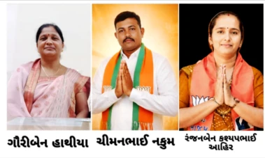 દેવભૂમિ દ્વારકા:  જિલ્લા પંચાયતના પ્રમુખ-ઉપપ્રમુખની બિનહરીફ વરણી
