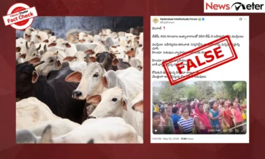 Fact Check: Hindu cattle traders in West Bengal protest after Muslims boycott beef? No, unrelated video is from Assam