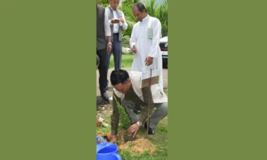 Nagaland lost 794.88 sq km forest cover in 10 years: Official